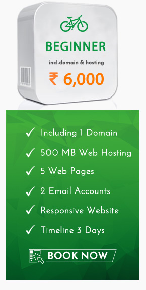 Web design package beginner in Rajkot