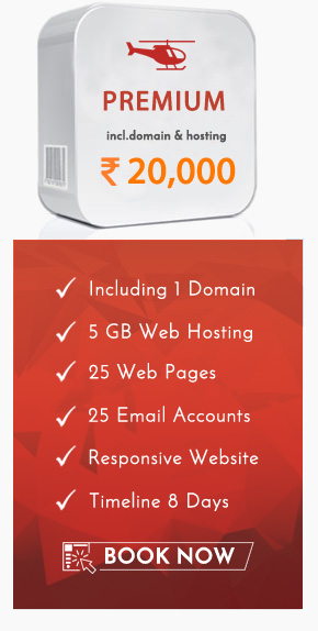 Web design package premium in Navsari