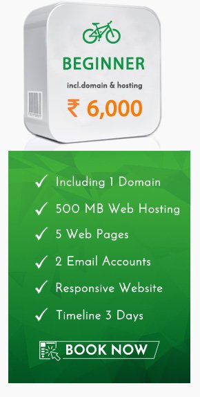 Web design package beginner in Udaipur
